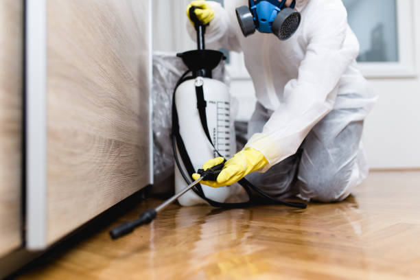 Best Best Pest Control Companies  in Midland, NC