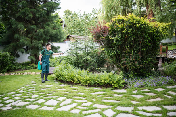 Professional Pest Control in Midland, NC