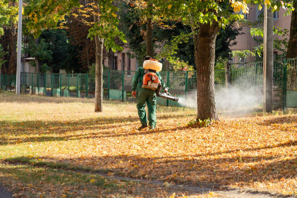 Best Wildlife Control Services  in Midland, NC